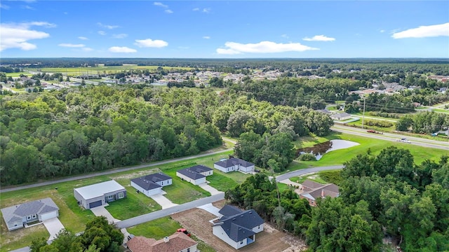 13750 SW 43rd Cir, Ocala, FL 34473 - photo 47