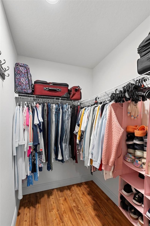 43 Pergola Pl, Ormond Beach, FL 32174 - walk in closet featuring wood finished floors
