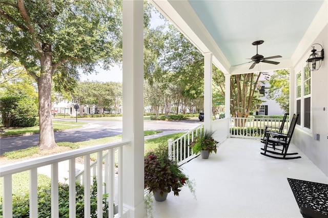 2183 Osprey Ave, Orlando, FL 32814 - photo 4