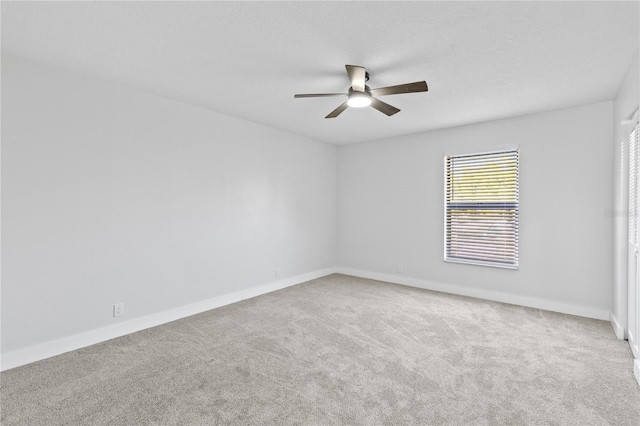 5303 Glen Harwell Rd, Plant City, FL 33566 - photo 25