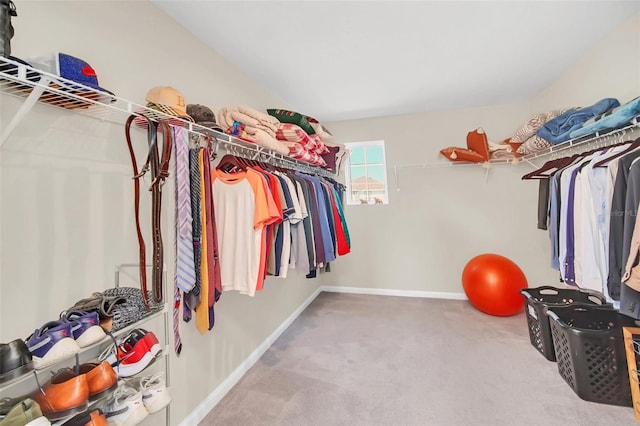 6926 Cucamelon Ct, Windermere, FL 34786 - walk in closet with carpet