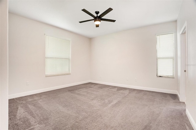 12330 Newt Ct, New Port Richey, FL 34654 - photo 13