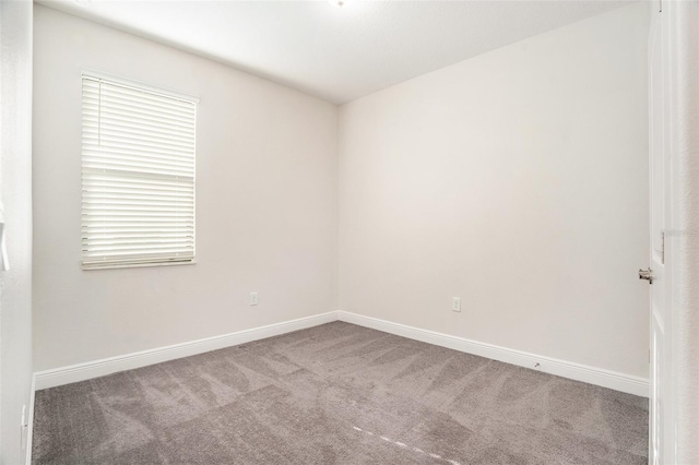 12330 Newt Ct, New Port Richey, FL 34654 - photo 20