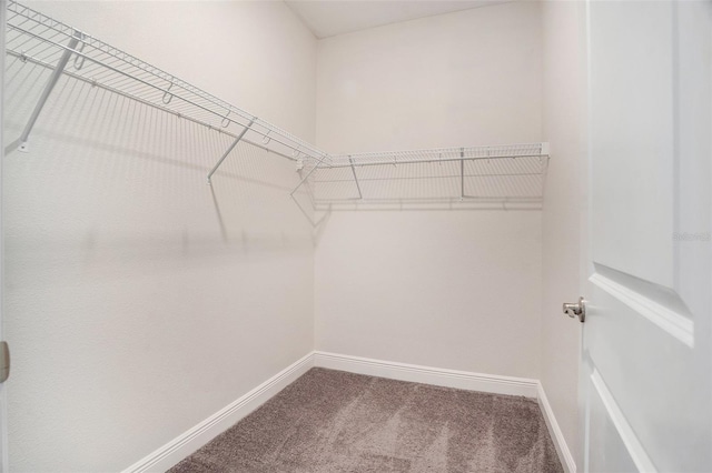 12330 Newt Ct, New Port Richey, FL 34654 - photo 22