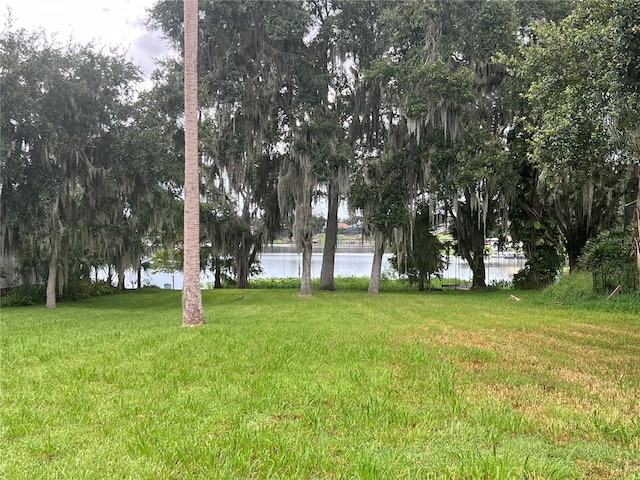 108 Live Oak Rd, Winter Garden, FL 34787 - photo 4