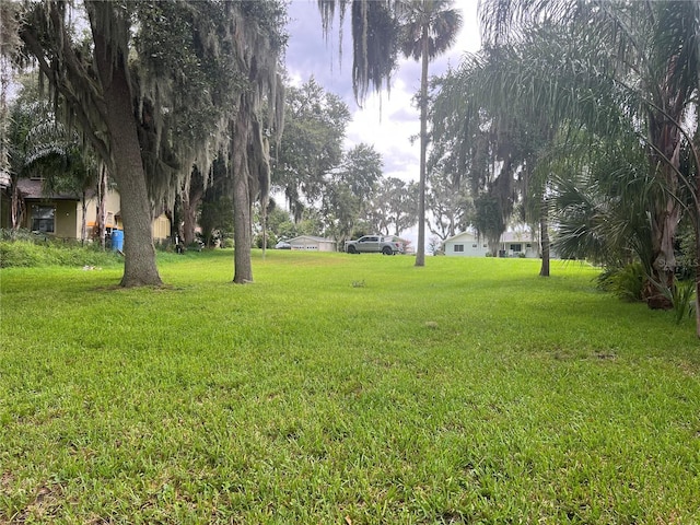 108 Live Oak Rd, Winter Garden, FL 34787 - photo 5