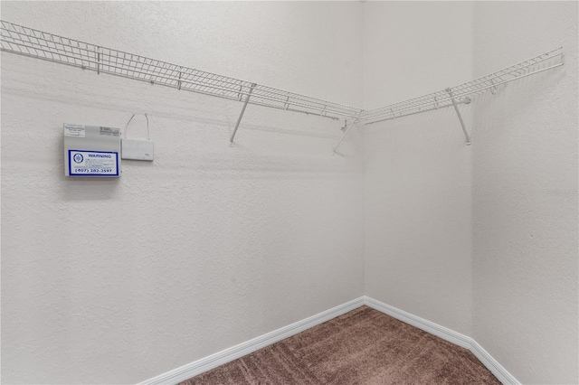 10642 Masters Dr, Clermont, FL 34711 - spacious closet with carpet floors