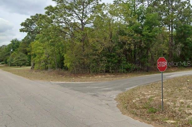 1325 W Evergreen Dr, Citrus Springs, FL 34434