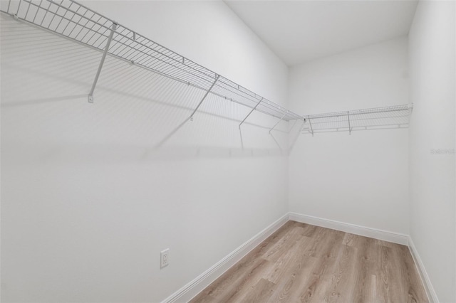 2504 SW 165th Street Rd, Ocala, FL 34473 - photo 34