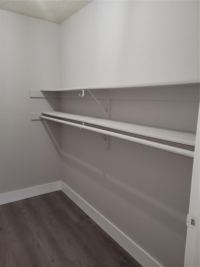 4400 Thornbriar Ln Unit A103, Orlando, FL 32822 - walk in closet featuring dark wood-style floors