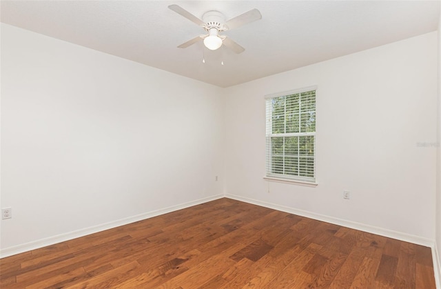 9026 Paolos Pl, Kissimmee, FL 34747 - photo 24