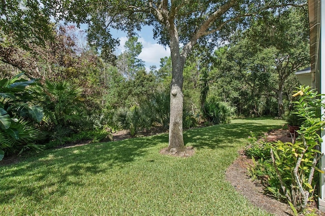 3108 Inishmore Dr, Ormond Beach, FL 32174 - photo 30