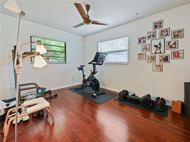 2708 Lion Heart Rd, Winter Park, FL 32792 - photo 8