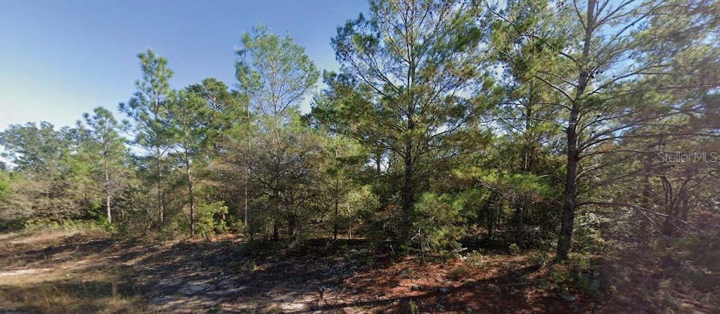 Colmart Dr, Chipley, FL 32428 - photo 2