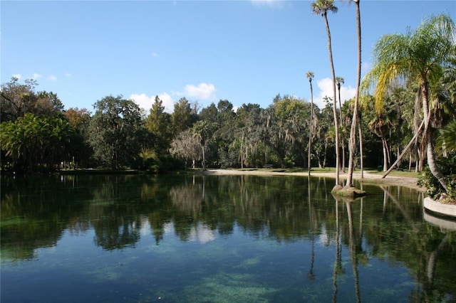 244 Springside Rd, Longwood, FL 32779 - photo 25