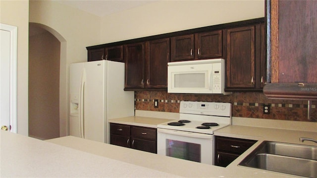 9434 Silver Buttonwood St, Orlando, FL 32832 - photo 7