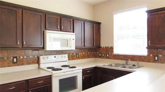 9434 Silver Buttonwood St, Orlando, FL 32832 - photo 8