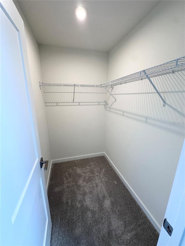3261 Cup Dr, Lakeland, FL 33803 - photo 27