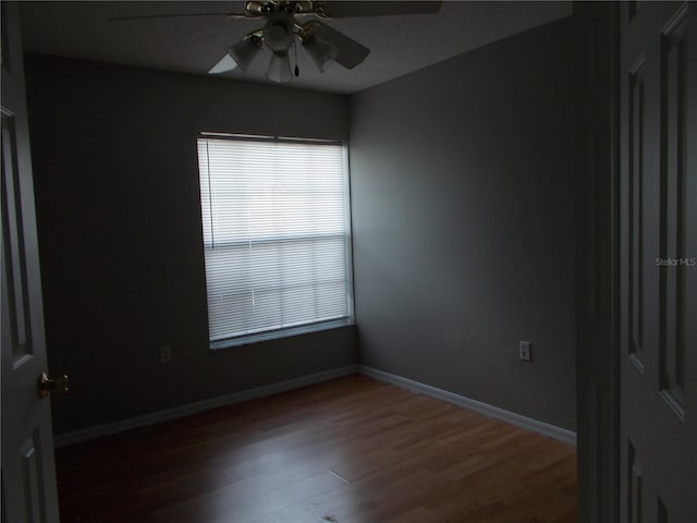 1661 Windsor Oak Ct, Kissimmee, FL 34744 - photo 24