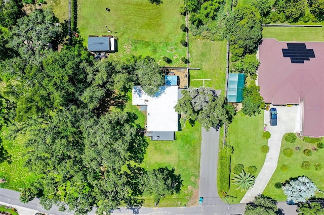 17016 Hillcrest View Dr, Montverde, FL 34756 - photo 22