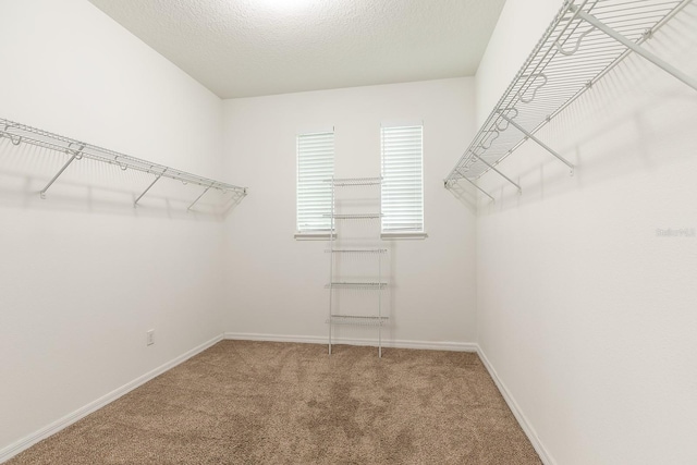 15505 Belle Meade Dr, Winter Garden, FL 34787 - photo 25