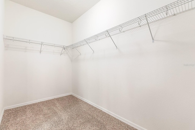 15505 Belle Meade Dr, Winter Garden, FL 34787 - photo 35