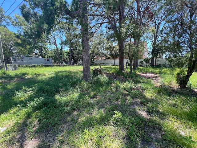 5645 Van Doren Ave, New Port Richey, FL 34652 - photo 3