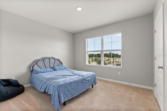 11237 Amber Ridge Dr, Zellwood, FL 32798 - photo 17