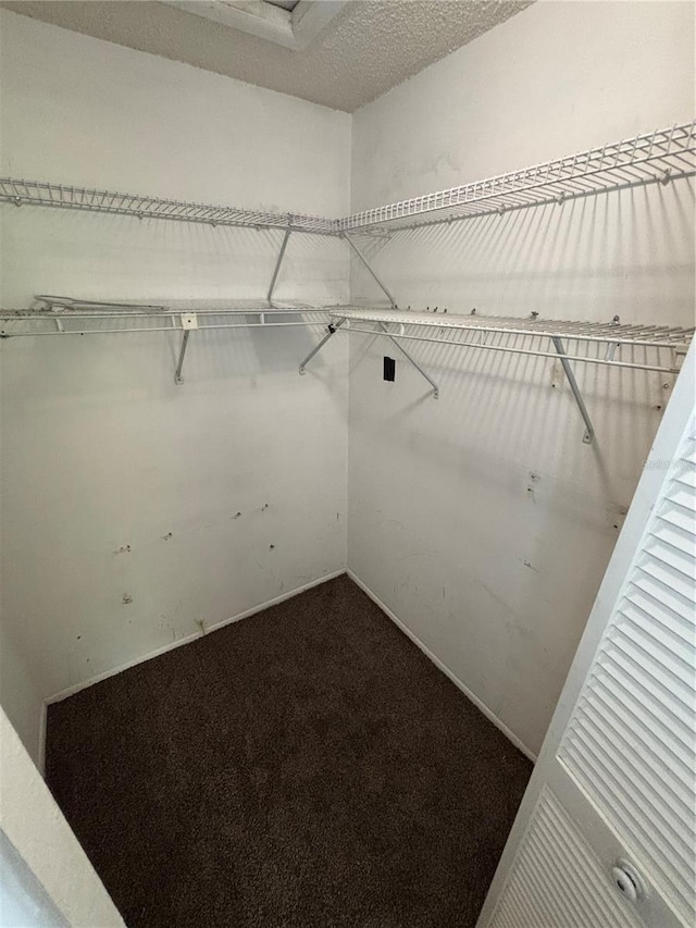 8131 Braddock Cir Unit 1, Port Richey, FL 34668 - spacious closet featuring dark colored carpet