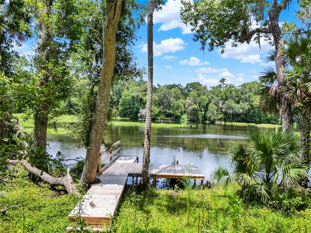120 River Oaks Cir, Sanford, FL 32771 - photo 39