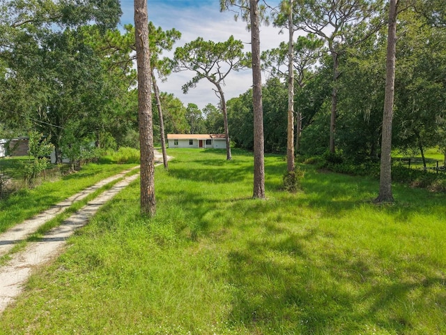 18421 Bellmore Ave, Orlando, FL 32820 - photo 27