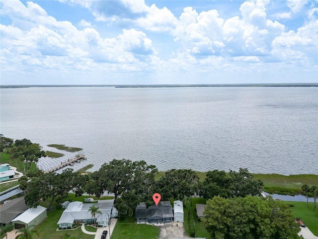 7824 Live Oak Ln, Leesburg, FL 34788 - photo 3