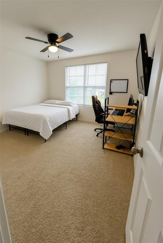 3014 Meleto Blvd, New Smyrna Beach, FL 32168 - photo 17