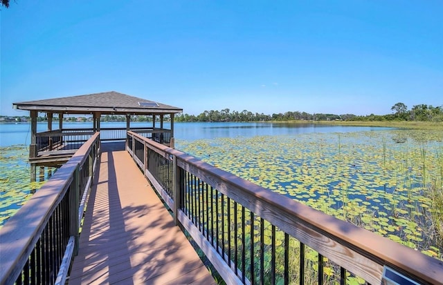 6947 Cucamelon Ct, Windermere, FL 34786 - photo 78