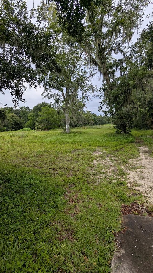 1825 Providence Rd, Lakeland, FL 33805 - photo 4