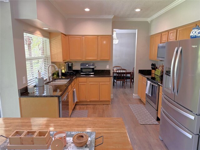 35 Oak Bend Ct, Oviedo, FL 32765 - photo 8
