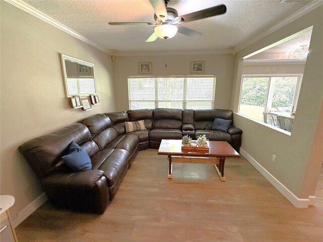 35 Oak Bend Ct, Oviedo, FL 32765 - photo 11