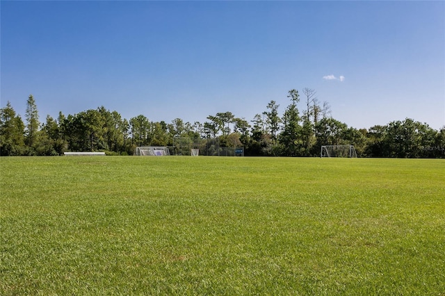 14137 Lake Live Oak Dr, Orlando, FL 32828 - photo 65