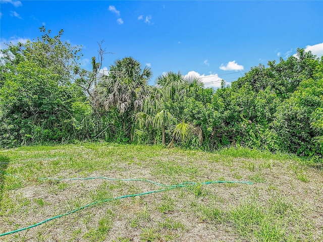 2445 Dolarway St, Sanford, FL 32771 - photo 37