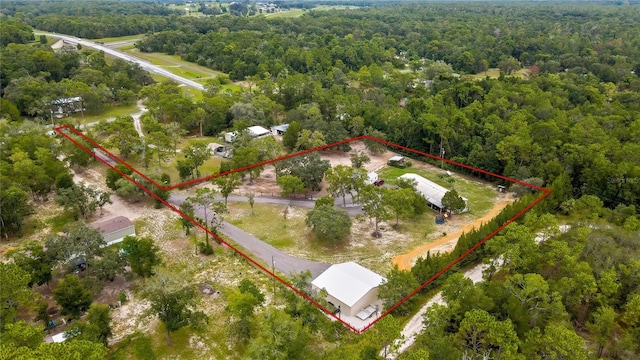 11499 Sedate St, Brooksville, FL 34614 - photo 3