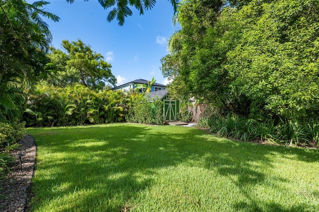 920 S Mills Ave, Orlando, FL 32806 - photo 40