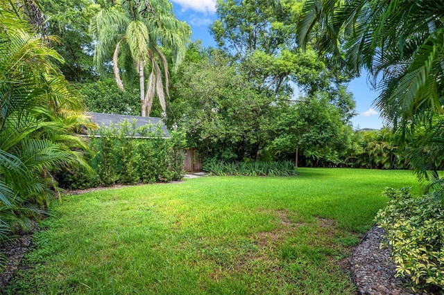 920 S Mills Ave, Orlando, FL 32806 - photo 42