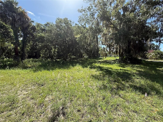315 Palmetto St, Eustis, FL 32726 - photo 1