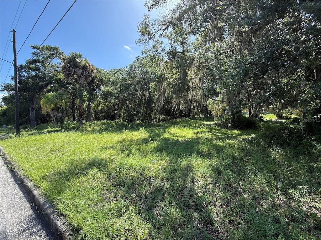 315 Palmetto St, Eustis, FL 32726 - photo 2