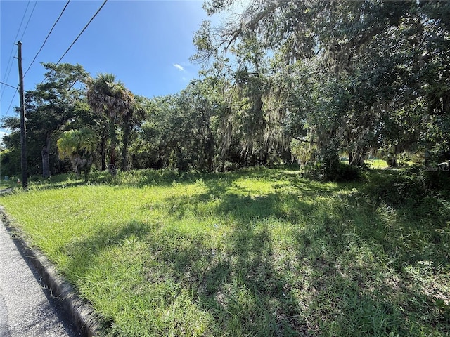 315 Palmetto St, Eustis, FL 32726 - photo 2