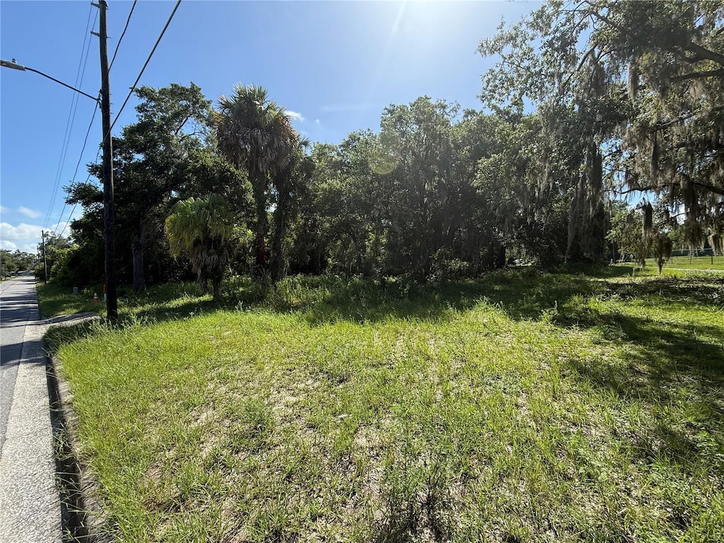 315 Palmetto St, Eustis, FL 32726 - photo 3