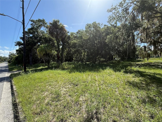 315 Palmetto St, Eustis, FL 32726 - photo 3