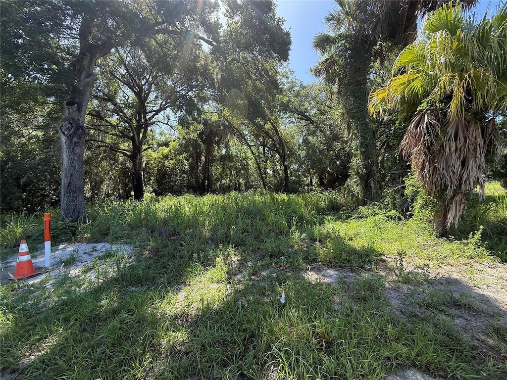 315 Palmetto St, Eustis, FL 32726 - photo 4