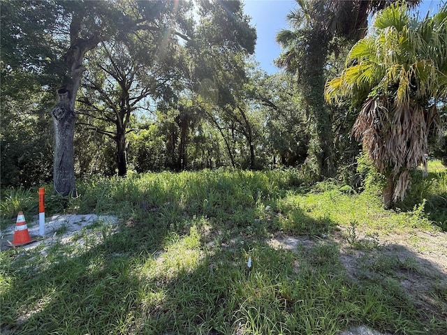 315 Palmetto St, Eustis, FL 32726 - photo 4