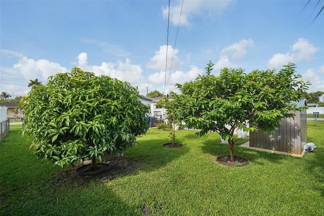 201 N 66th Ter, Hollywood, FL 33024 - photo 32